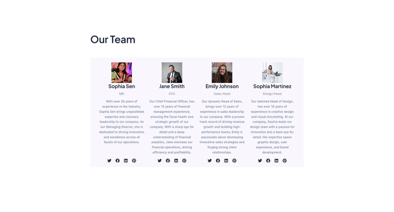 Prebuilt Website - wpfsp1dm1 - Our Team