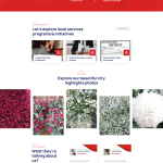 City Government & Municipal Website